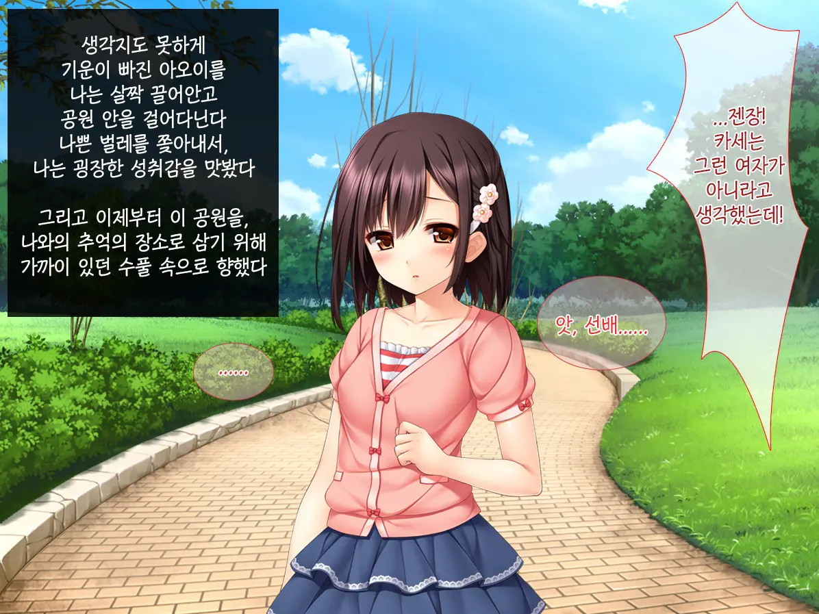Imouto Ga Suki Sugiru Aniki Ga Kareshi Kara Netoru | 여동생을 엄청 좋아한 오빠가 남자친구에게서 여동생 빼앗기